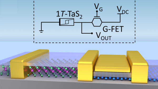 Schematic of CDW device