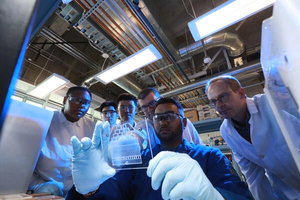 Bioengineering lab 