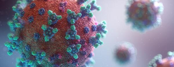 covid coronavirus.jpg