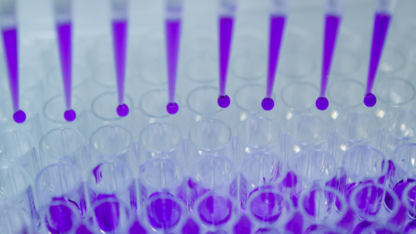 theme-biomed_0.png